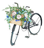 bicycle with flowers